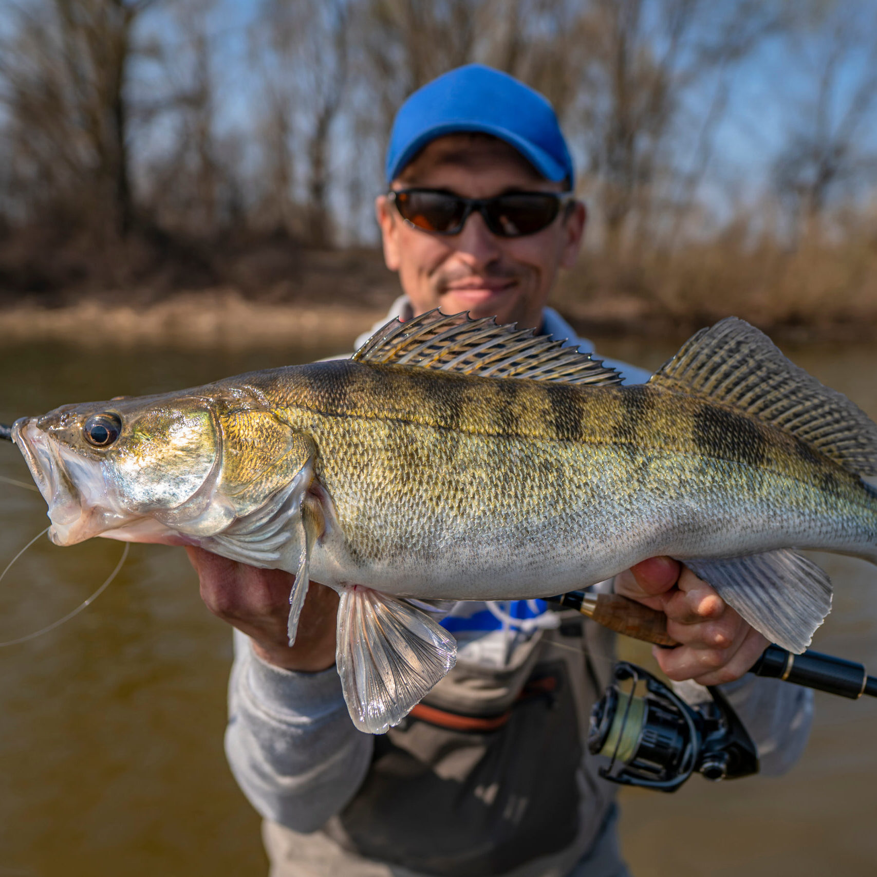 adobe image of a walleye fisherman - free license