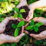 Three sets of hands holding soil and plants.