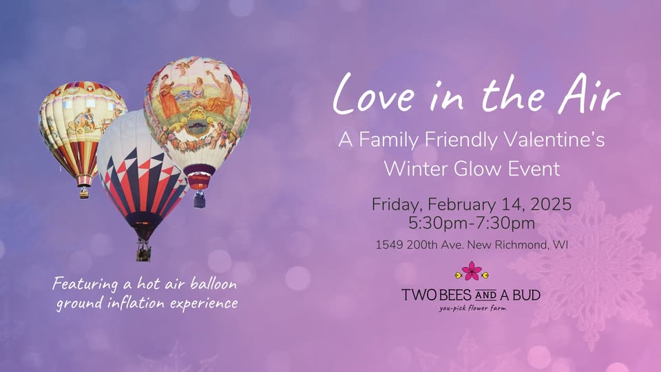 Love in the air event flier with hot air balloons