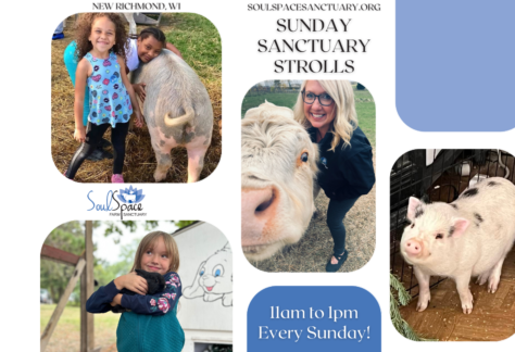 Sunday Sanctuary Strolls flier with pictures of children, pigs, and cows.