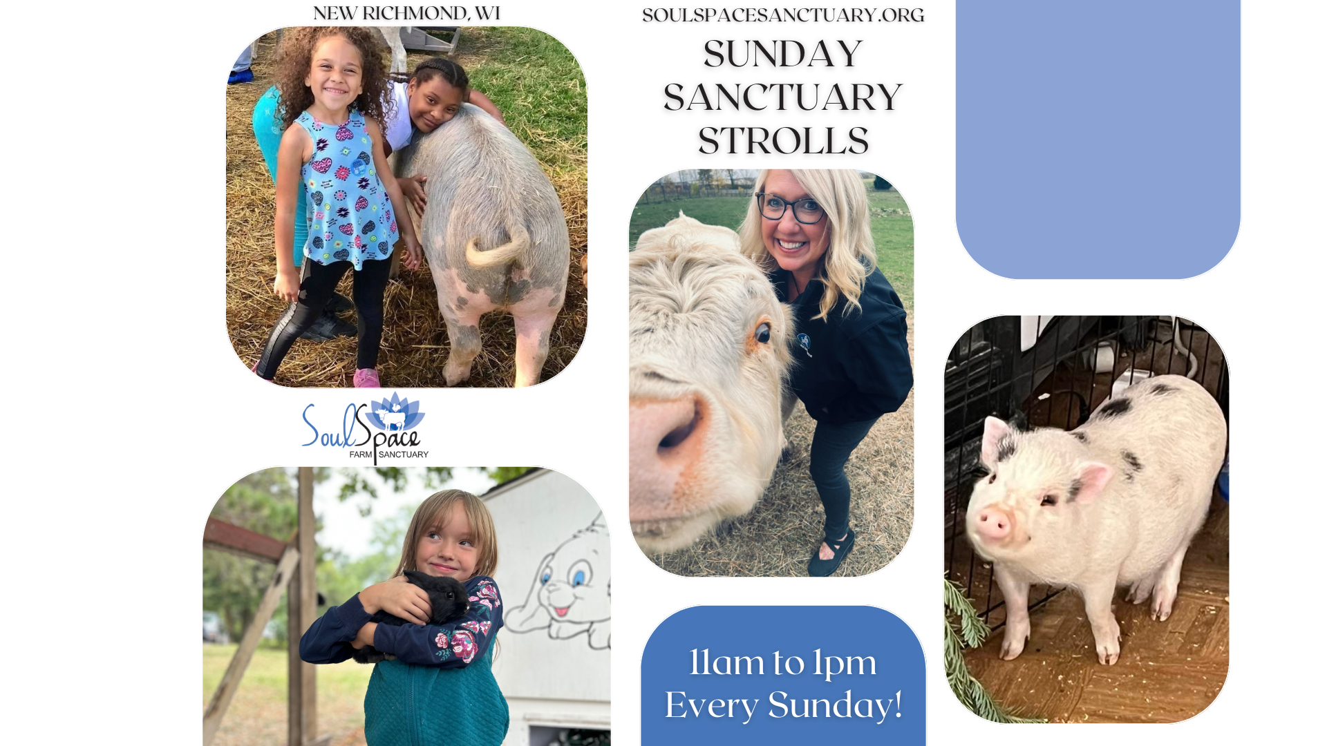 Sunday Sanctuary Strolls flier with pictures of children, pigs, and cows.