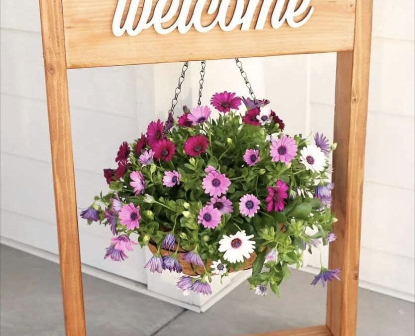 DIY Workshop:  Welcome Plant Hanging Stand