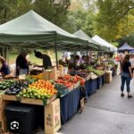 a row of stands at a farmers market