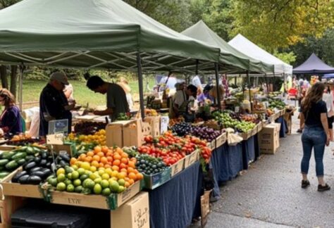 a row of stands at a farmers market