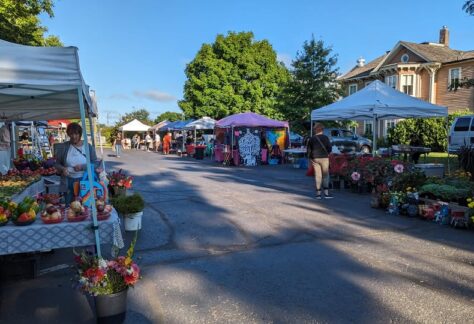 Shoppers peruse booths at the outdoor farmers market