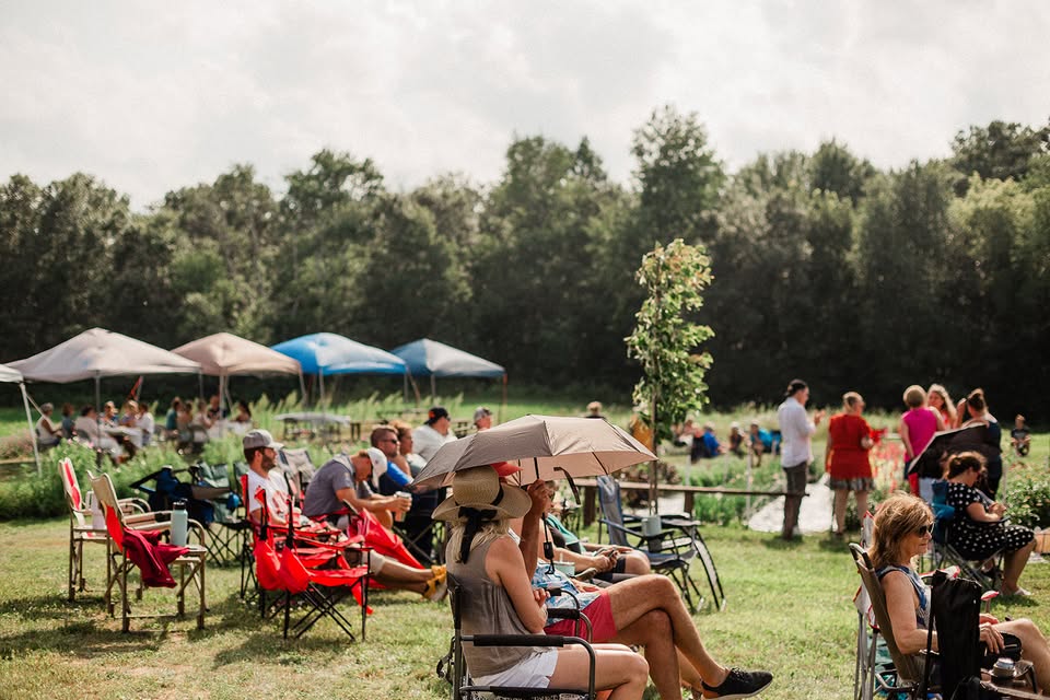 people sitting outdoors in the summer listening to live music