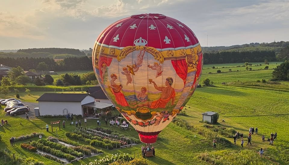 A hot air balloon above a flower garden