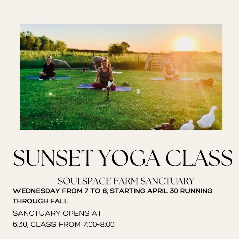 sunset yoga class flier