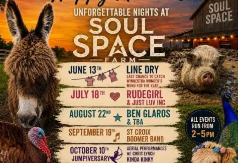 SoulSpace Summer live music event flier