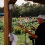 live music at the flower field