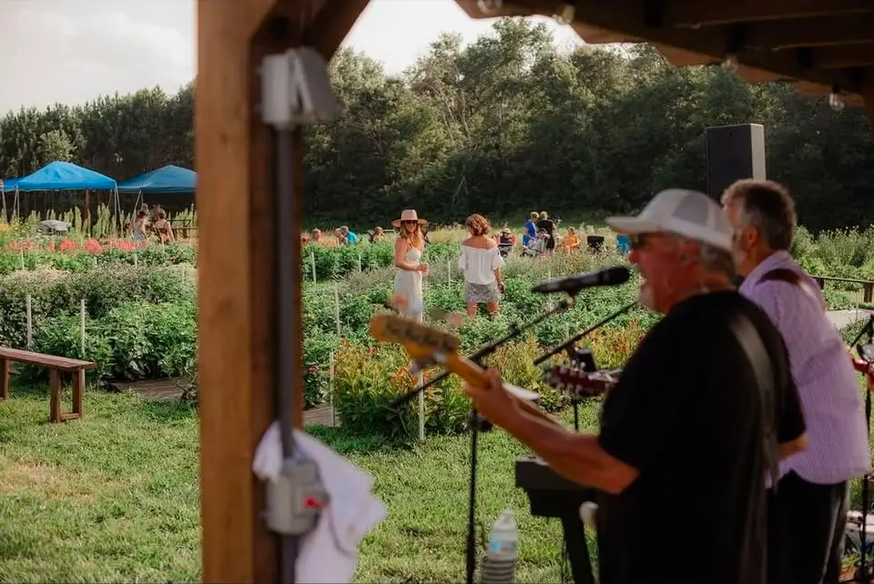 live music at the flower field