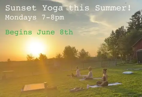A group does yoga at the farm.