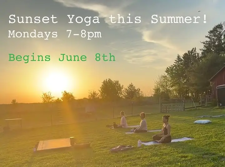 A group does yoga at the farm.