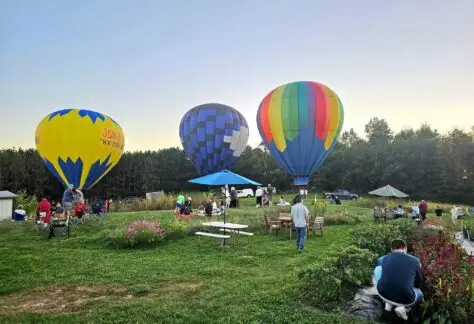 Hot air balloons at the flower farm