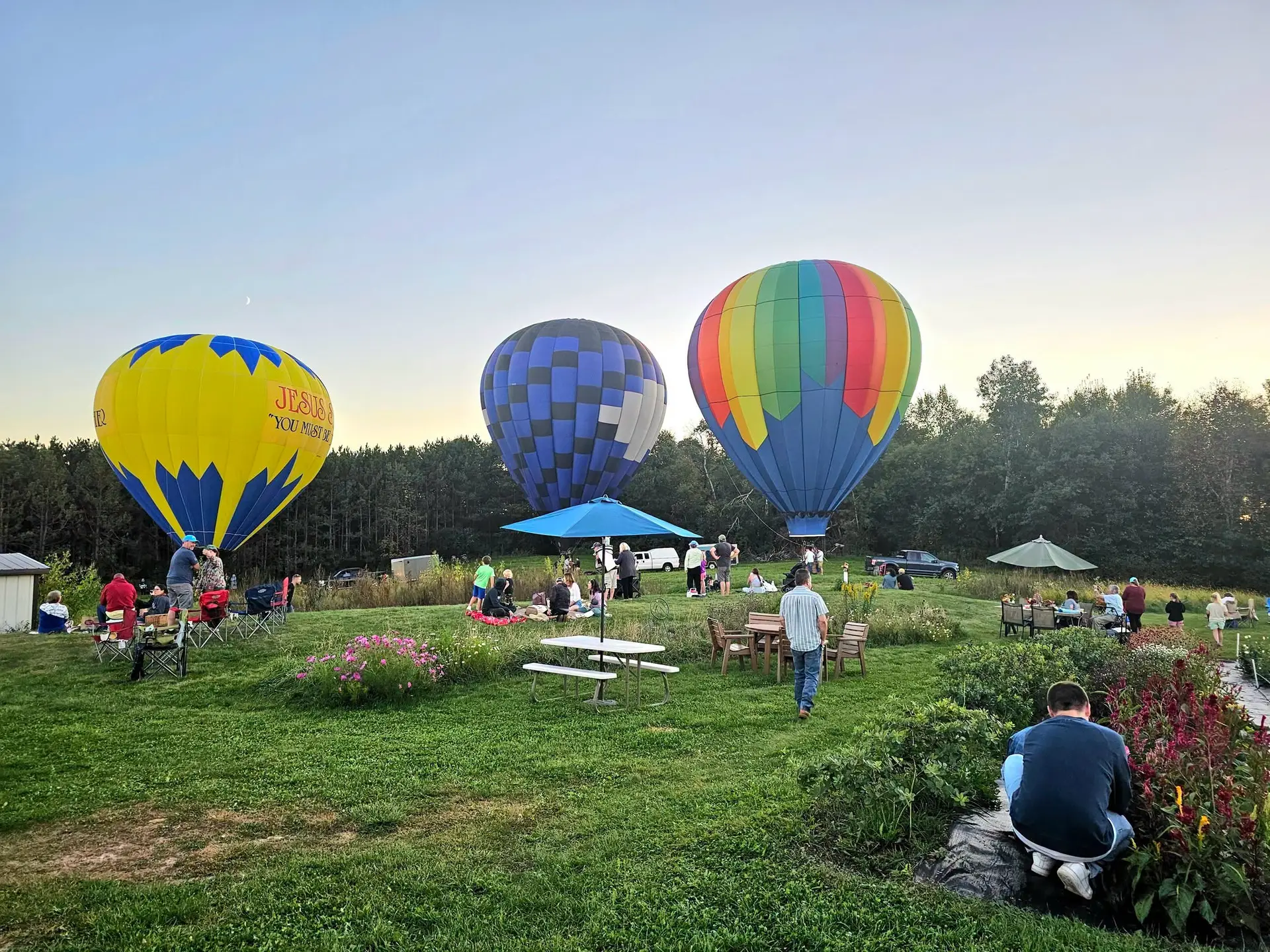 Hot air balloons at the flower farm