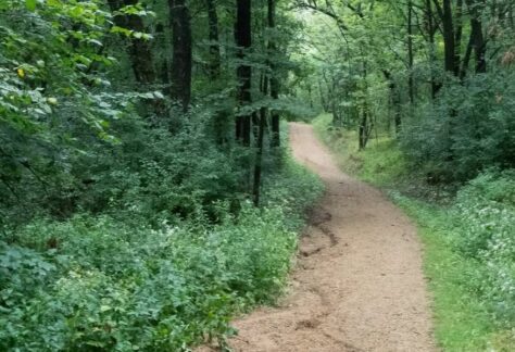 willow river state park