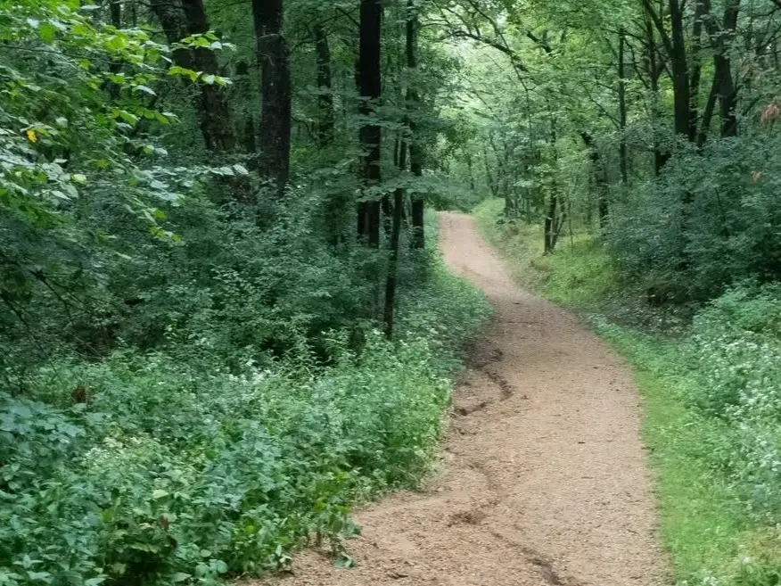 willow river state park